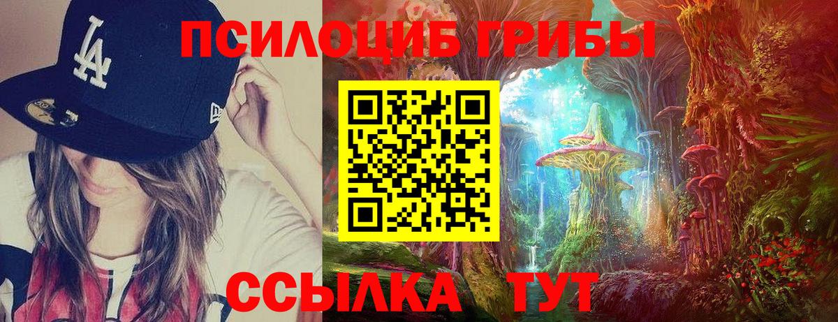 Псилоцибиновые грибы GOLDEN TEACHER  купить закладку  Вход с VPN  Чехов  Галлюциногенные грибы мицелий 