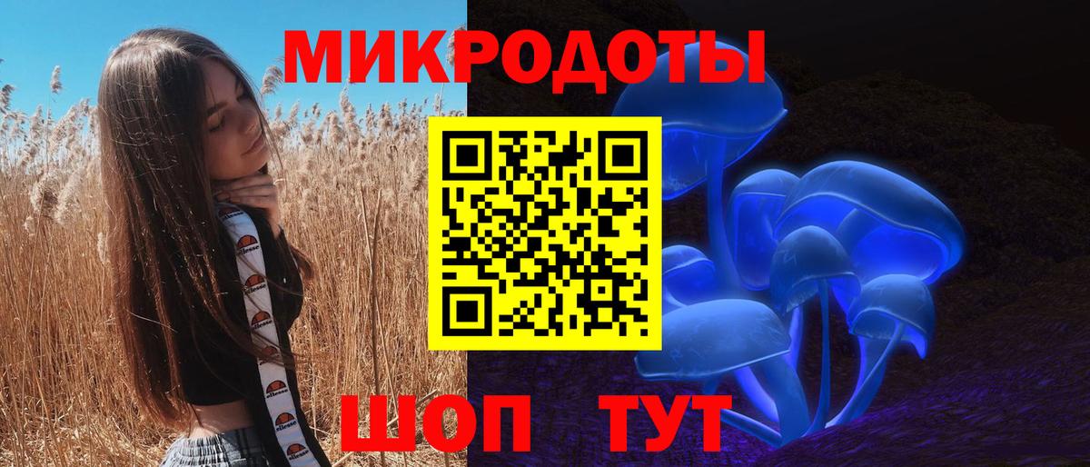 Псилоцибиновые грибы мухоморы Чехов